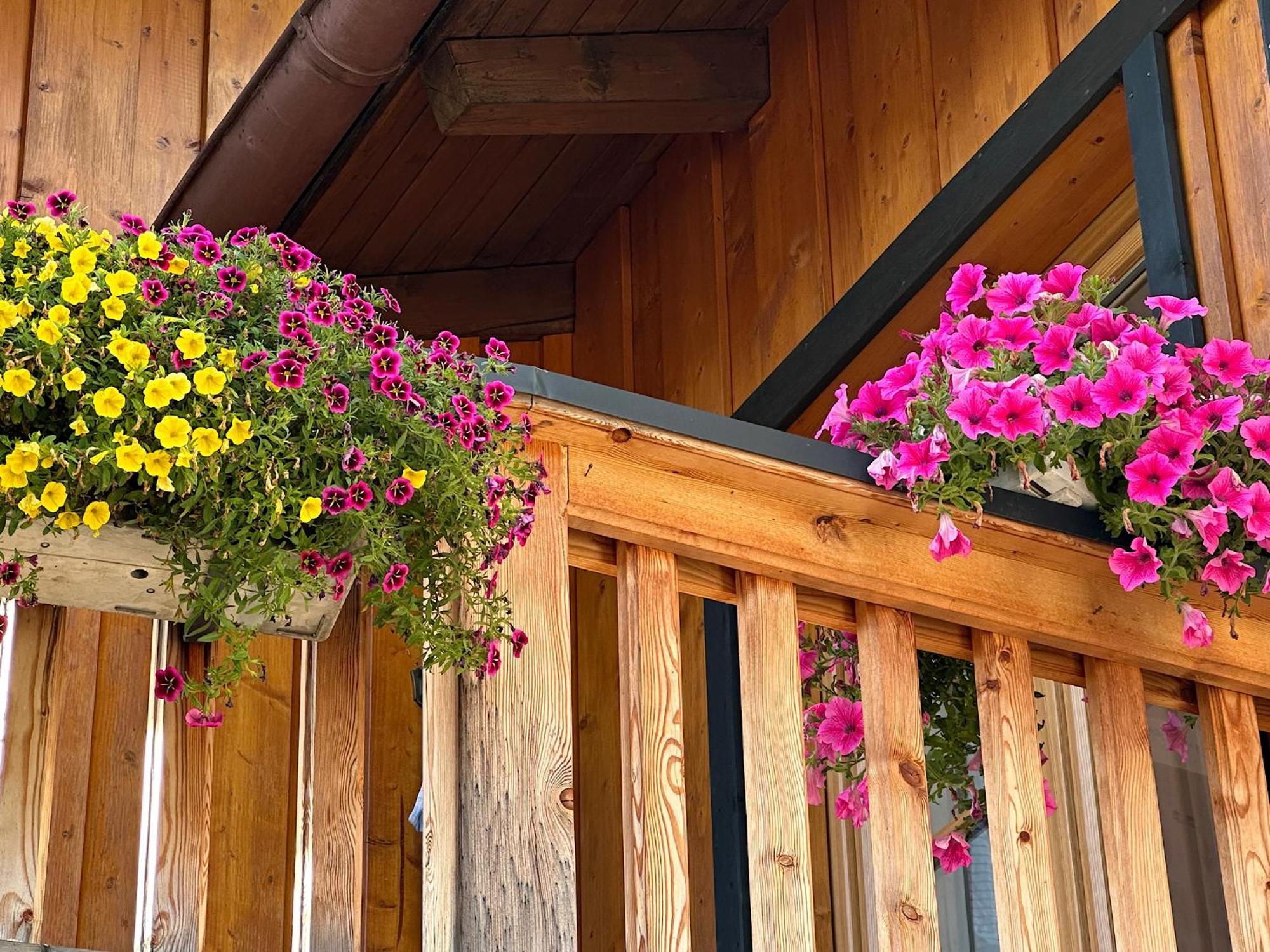 Ferienwohnung Eisenberger Inkl. Chiemgaukarte Ruhpolding Exterior photo